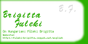 brigitta fuleki business card